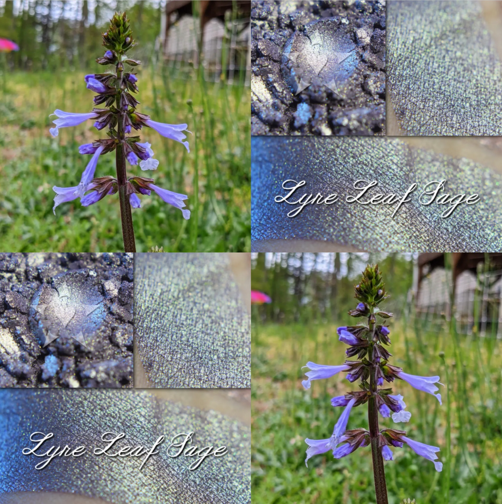 LYRE LEAF SAGE - EYESHADOW