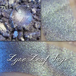 LYRE LEAF SAGE - EYESHADOW