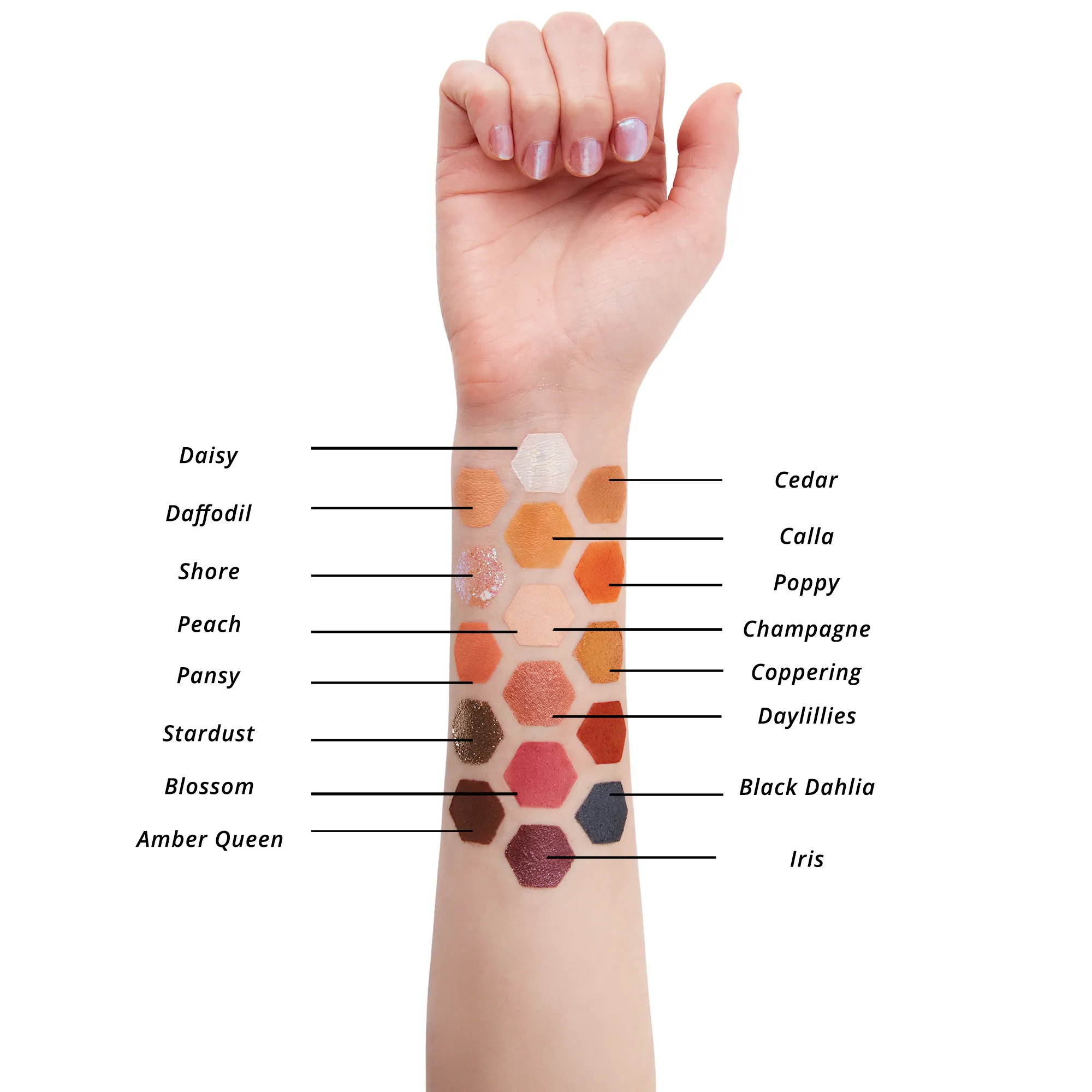 Oasis Eyeshadow Palette - 16 Colors